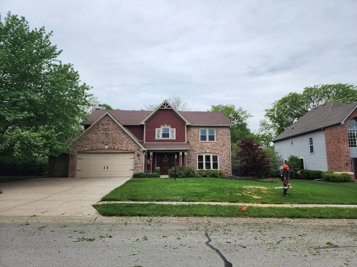 Williams Tree Service LLC work site