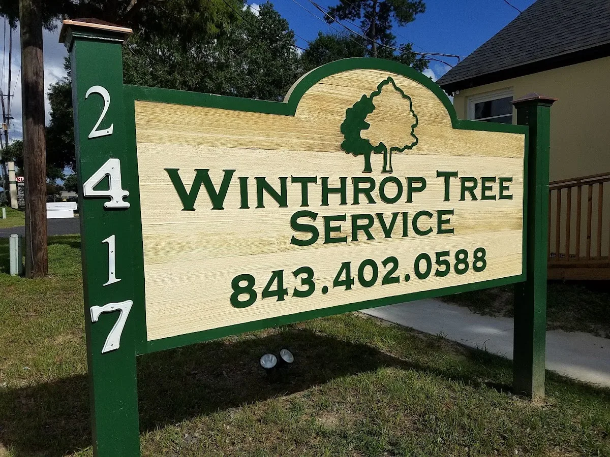 Winthrop Tree Service work site