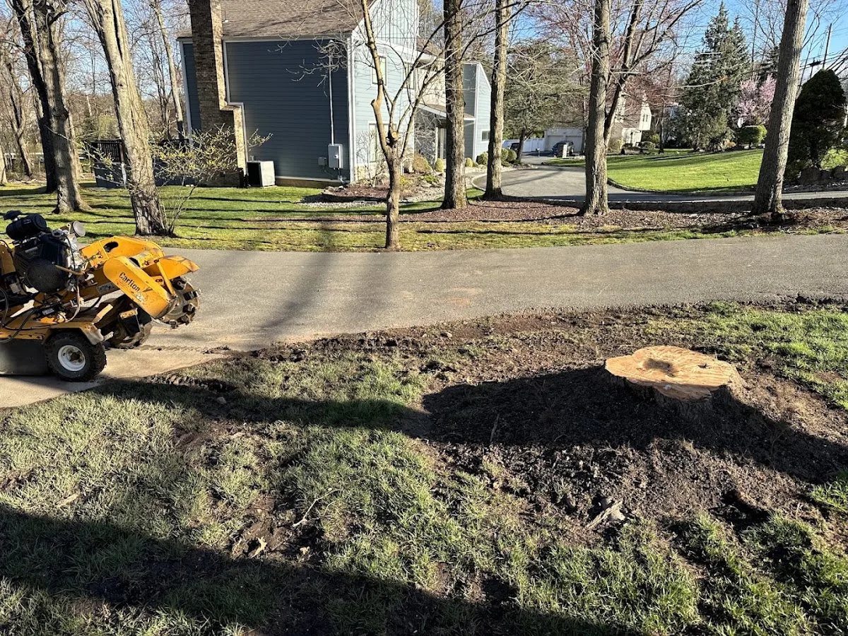 Wolf Stump Grinding