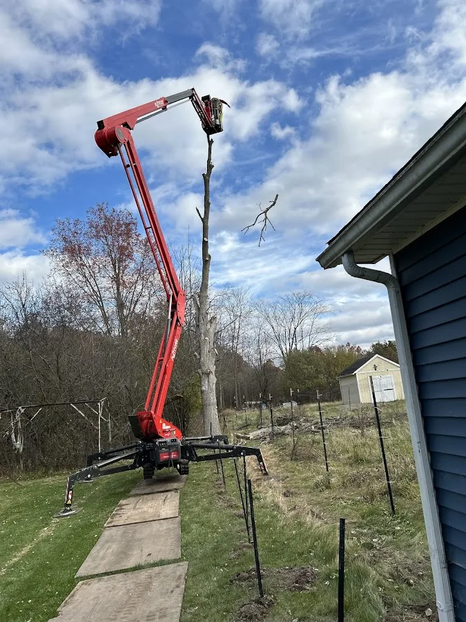 WoodChuck Tree Service