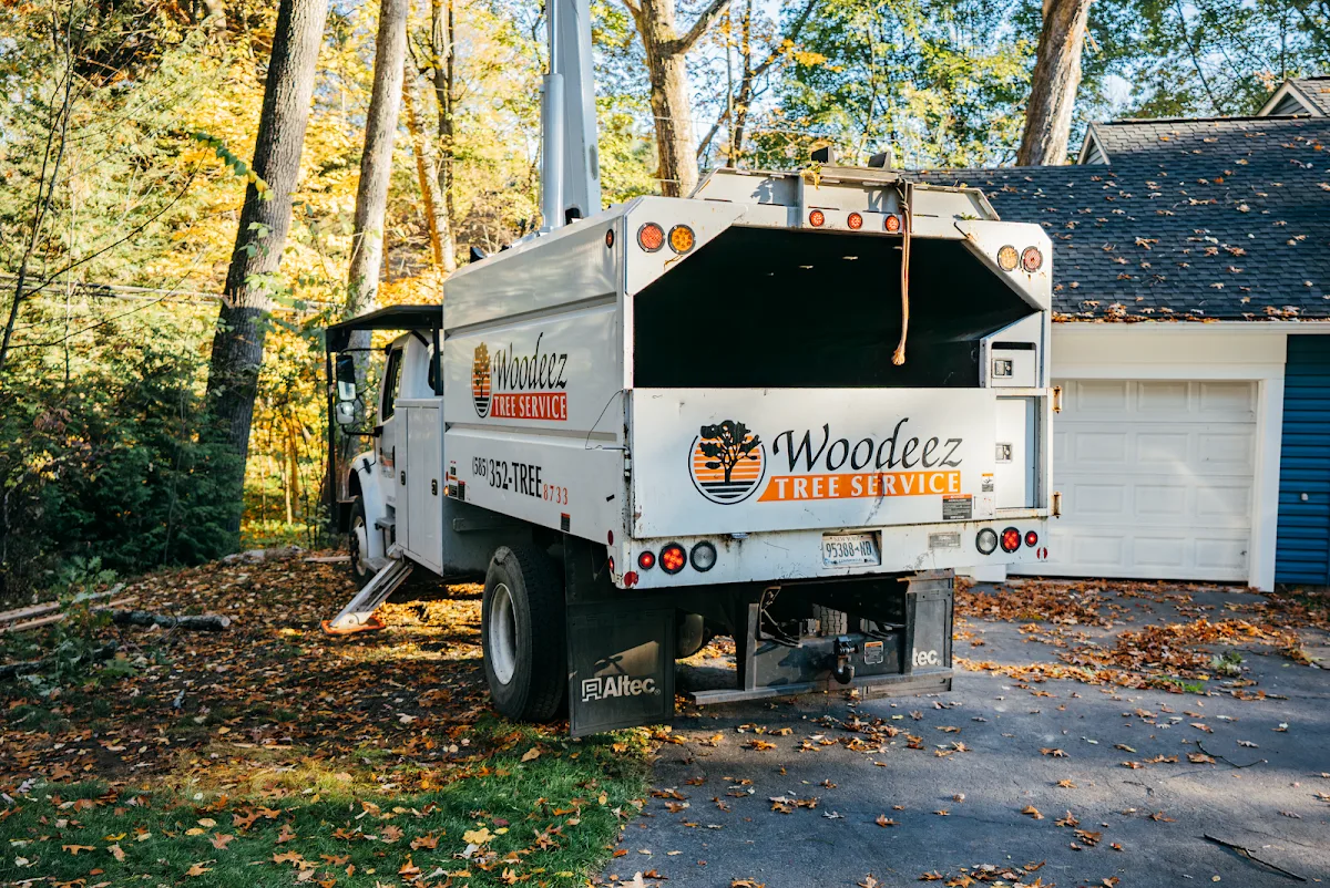 Woodeez Tree Service