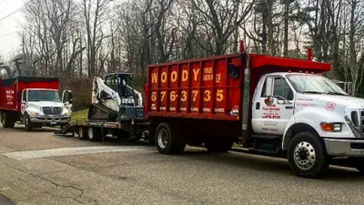 Woody Tree Service, Inc.