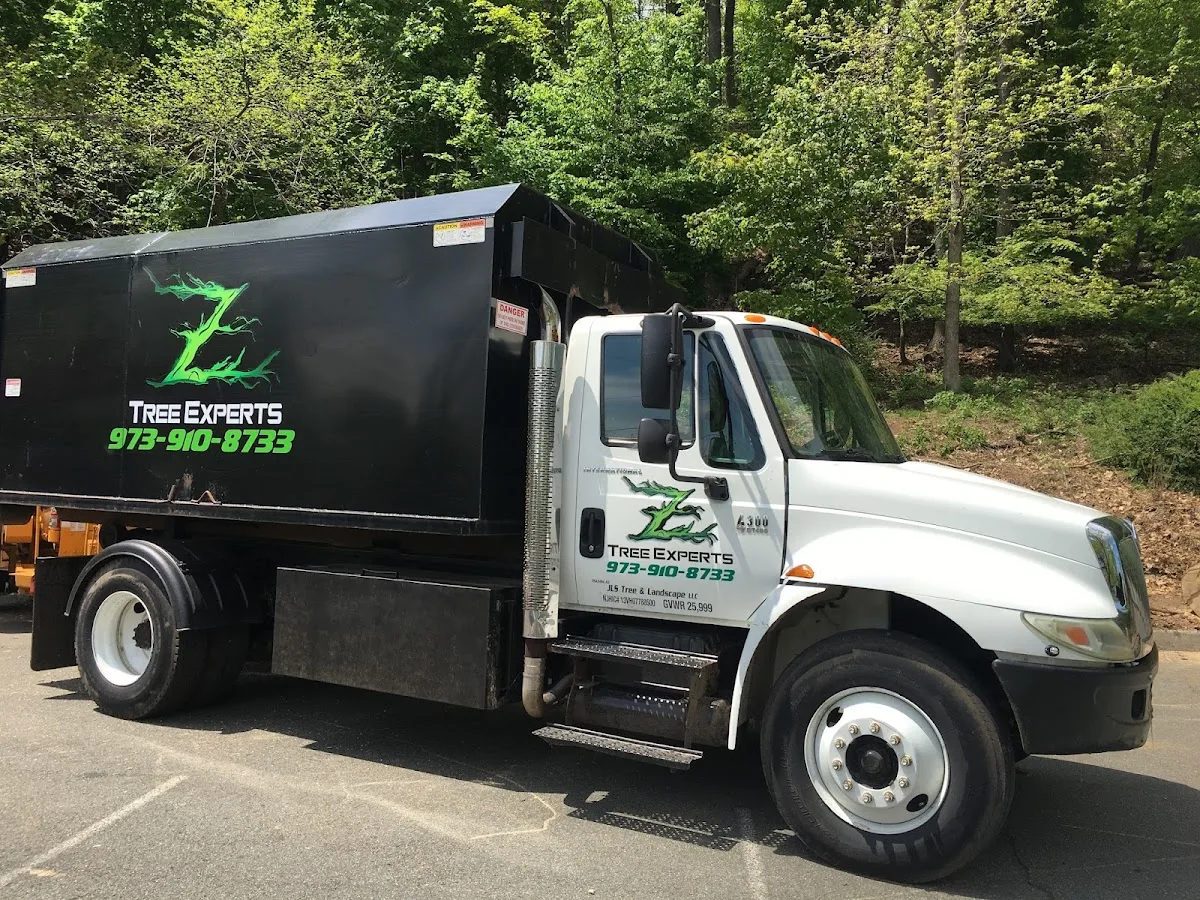 Z Tree Experts work site